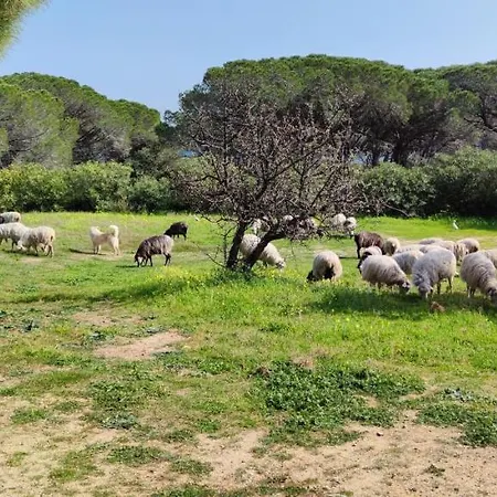 Dolce Casa Baia Sant'anna - Casa de Férias