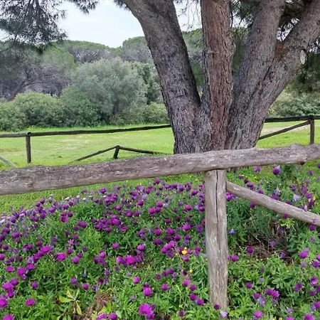 بيت للعطل Dolce Casa Baia Sant'anna - *