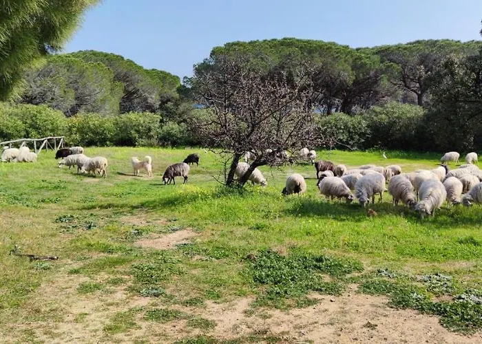 Dolce Casa Baia Sant'anna - Сasa de vacaciones