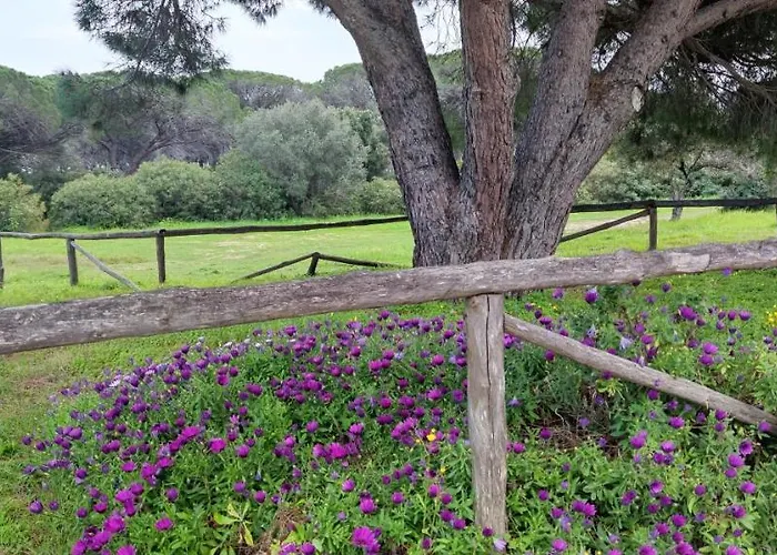 Сasa de vacaciones Dolce Casa Baia Sant'anna - *